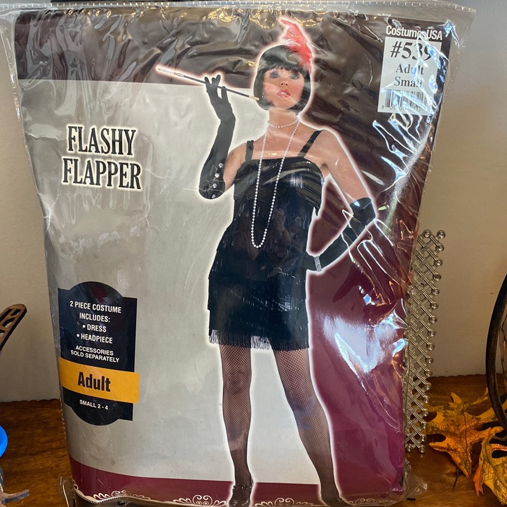 Costumes USA Flashy Flapper Costume Bundle Set Small 2-4 Wig Gloves Fishnets